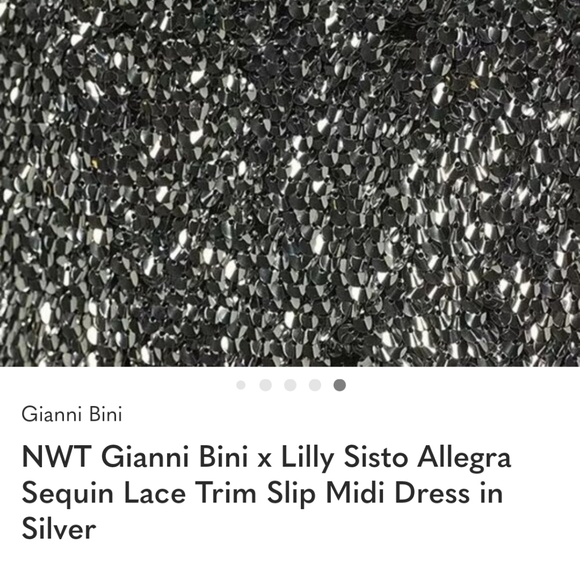 Gianni Bini Silver Sequin Dress with Lace Trim - Picture 5 of 9